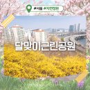 한강근린공원 | 서울 꽃구경 달맞이근린공원 개나리 실시간 개화 현황 (주차장, 애견동반 가능)