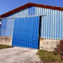 현대양돈 이미지