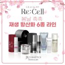 라인공방 이미지
