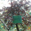 통도사유치원 이미지