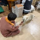 대신공원로 | 양산 찜질방 통도참숯가마ㅣ가족 주말 방문 솔직후기 및 정리