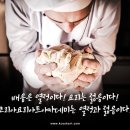 올바른학원 - 남구 못골로12번길 35 | 올바른학원