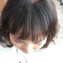 다인포차24시 네이버블로그