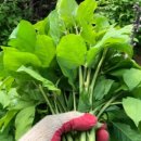 현영농장 이미지