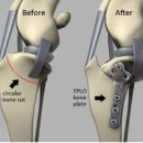 청라호수동물메디컬센터 이미지