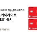 주식회사 스카이정보통신 이미지