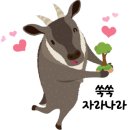 참이비인후과의원 이미지