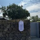 이플제주 이미지