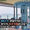 뚜와키즈아트 | 서귀포 보목 역대급 오션뷰 키즈카페 제니스볼몽니 아기랑 제주 실내 여행 코스