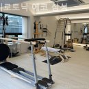 자이로토닉에코 네이버블로그