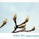 2011.02.24 마음의 근육을 키우는 방법 이미지