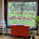 포레스트 경주(Forest 경주) 이미지