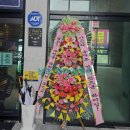 김노래연습장 이미지