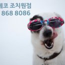 아이데코 안경콘택트 이미지