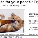 위한맥주