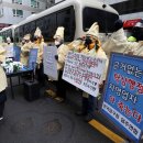 민주당구장 이미지