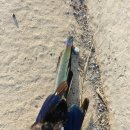 금호교차로~금호방조제 이미지