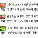 보감식품 이미지