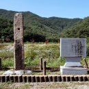 속리산 관광특구 브런치