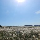 봉성클래식 민박 이미지