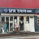 달빛 거북이 이미지