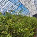 (주)팜텍 이미지