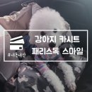조이독 | 강아지 카시트 패리스독 스마일 표준형 8kg 반려견 사용 후기 내돈내산