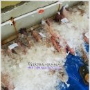 8월 7일(화) 목포는항구다 생선카페 판매생선[ 고등어, 민어, 아나고장어(붕장어), 민어뼈 ] 이미지