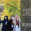 주식회사 은코리아 이미지