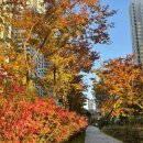 (주)EMS | [종각PT샵] 마이크로스튜디오 시청점 ★ 주1회 EMS 전신근력운동 후기