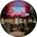 🌸플라워플로우 서울 식물원 근처 마곡나루역 가볼만한곳 시간 때우기 좋은 이색 식물 카페 주차 이용 꿀팁