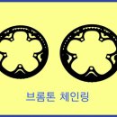 저단54 | 브롬톤 자전거 p라인 체인링 50t → 54t 변경 및 아이유 고개(암사고개) 미니벨로 업힐 테스트 후기