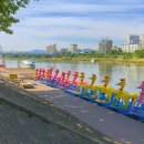 가족공원길 이미지