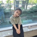 (주)가온월드 이미지