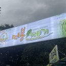 따봉시래기 신현점 이미지
