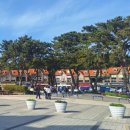 신촌셀프주유소 맞은편 | 울산 동구 대왕암공원 맛집 신촌닭칼국수 솔직 후기