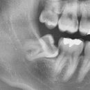 경대본치과의원 이미지