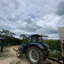 청룡목장 이미지