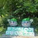 항골 | 강원 정선 /항골 숨바우길 휴식시간 포함한 4시간의 트레킹은 최고 였어요!