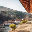 첨성대스파랜드 | 대학생 커플 겨울여행 숙소 (리조트, 대학생, 겨울)