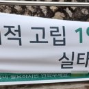 자발적고립 JTBC