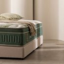 금성파크 이미지