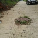 오산 행정사 합동사무소 이미지