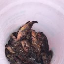 (주)황금바다 이미지