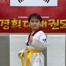 송도 경희대 태권도 이미지