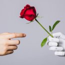 Polygon Re 이미지