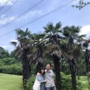 덕인농원 이미지