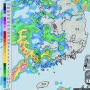 9월20일 수요정모:군북면 임도(8:30분출발)----＞＞우천폭파----＞먹방대체 이미지