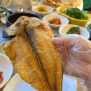 미도식당 | [제주/서귀포 맛집] 용머리해안 산방산 아침식사 추천 식당 '미도식당' 이용 후기