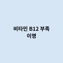 B12-2 이미지